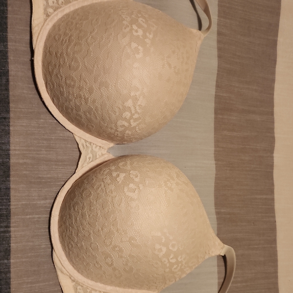 Elegant Cream Lace Bra